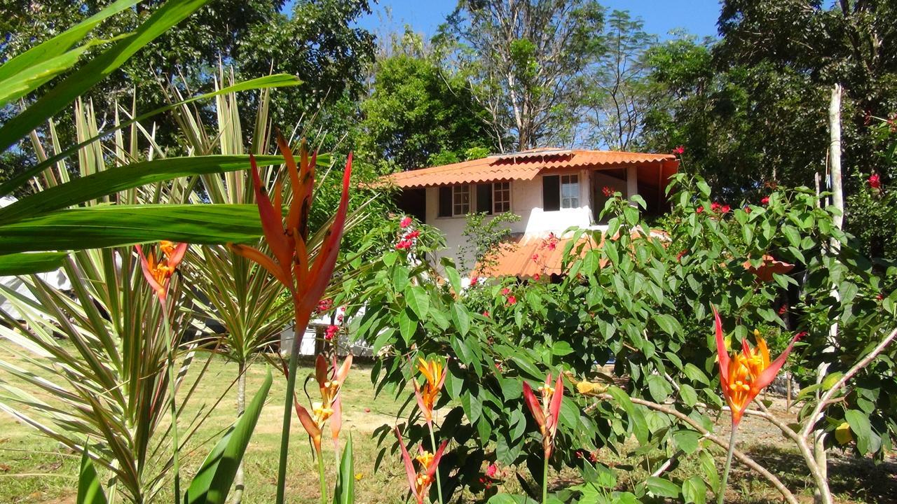 Cebaco Sunrise Lodge Isla Cebaco Εξωτερικό φωτογραφία